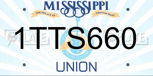 1TTS660 Mississippi License Plate