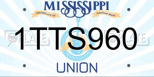 1TTS960 Mississippi License Plate