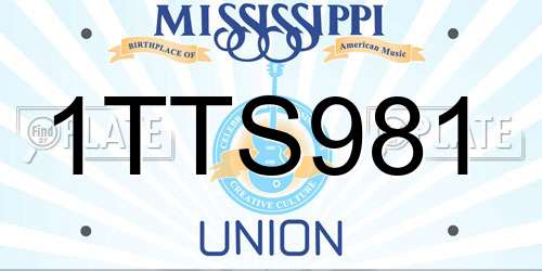 1TTS981 Mississippi License Plate