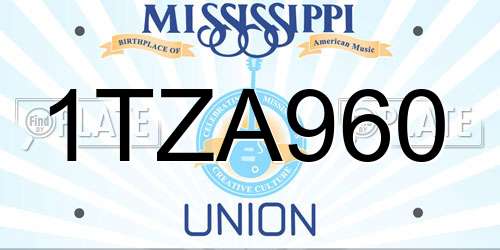 1TZA960 Mississippi License Plate