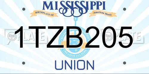 1TZB205 Mississippi License Plate