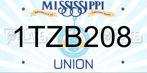 1TZB208 Mississippi License Plate