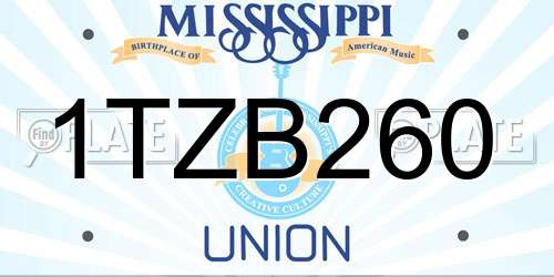 1TZB260 Mississippi License Plate