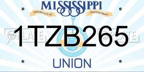 1TZB265 Mississippi License Plate