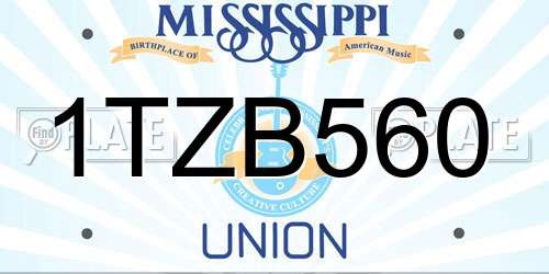 1TZB560 Mississippi License Plate