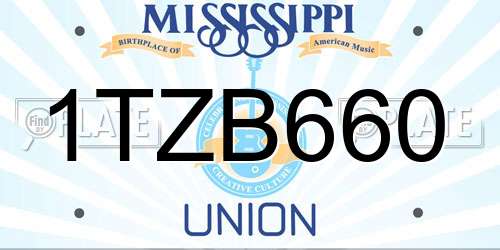 1TZB660 Mississippi License Plate