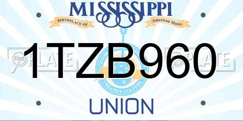 1TZB960 Mississippi License Plate