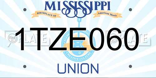1TZE060 Mississippi License Plate