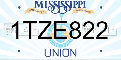 1TZE822 Mississippi License Plate