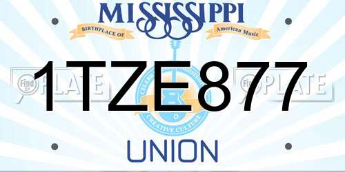 1TZE877 Mississippi License Plate