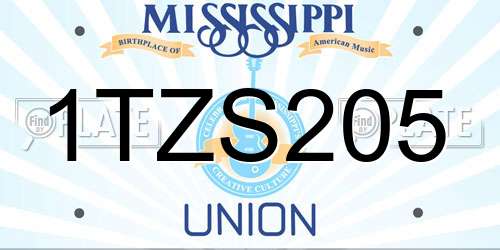 1TZS205 Mississippi License Plate