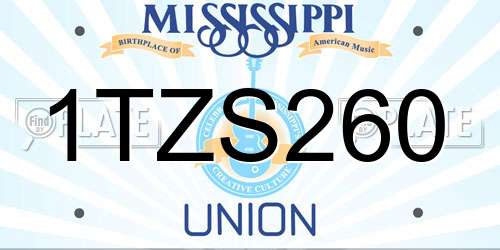 1TZS260 Mississippi License Plate