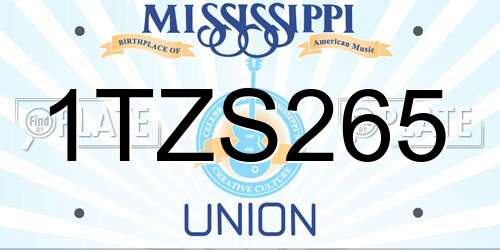 1TZS265 Mississippi License Plate