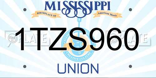 1TZS960 Mississippi License Plate