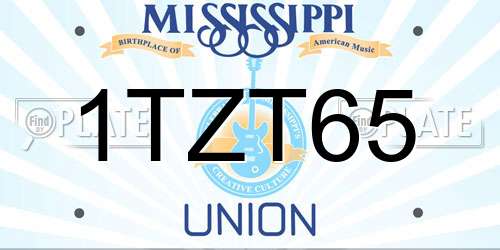 1TZT65 Mississippi License Plate