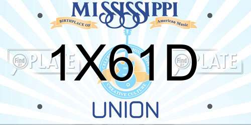 1X61D Mississippi License Plate