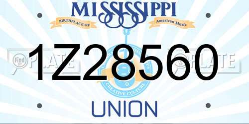 1Z28560 Mississippi License Plate