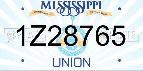 1Z28765 Mississippi License Plate