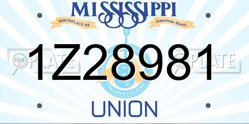 1Z28981 Mississippi License Plate
