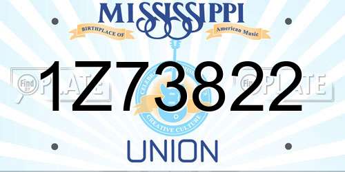 1Z73822 Mississippi License Plate