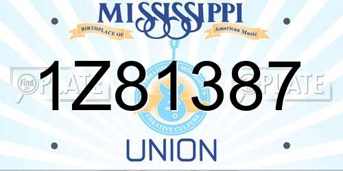 1Z81387 Mississippi License Plate