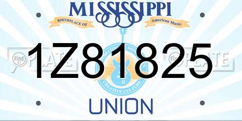 1Z81825 Mississippi License Plate