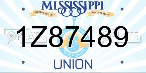 1Z87489 Mississippi License Plate