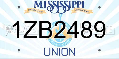 1ZB2489 Mississippi License Plate