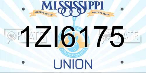 1ZI6175 Mississippi License Plate