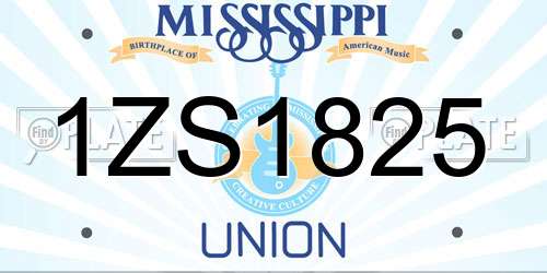 1ZS1825 Mississippi License Plate