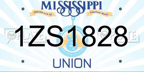 1ZS1828 Mississippi License Plate
