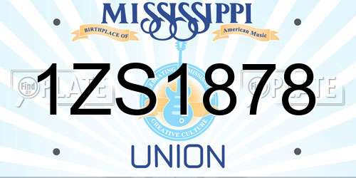 1ZS1878 Mississippi License Plate