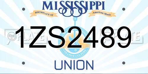 1ZS2489 Mississippi License Plate