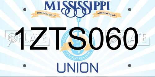 1ZTS060 Mississippi License Plate