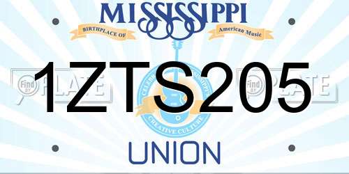 1ZTS205 Mississippi License Plate