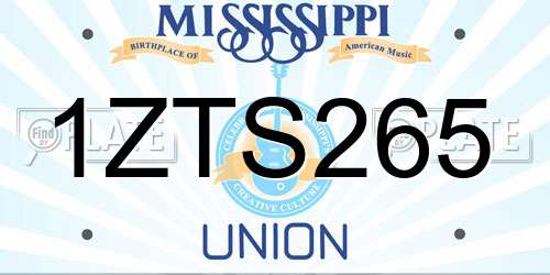 1ZTS265 Mississippi License Plate