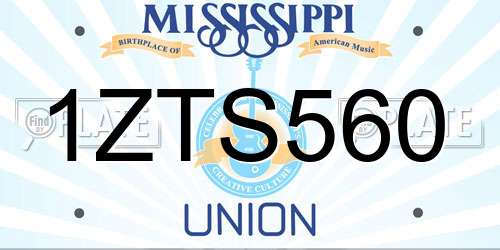 1ZTS560 Mississippi License Plate