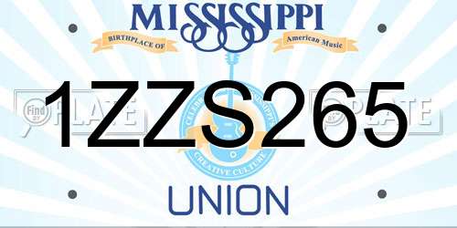 1ZZS265 Mississippi License Plate