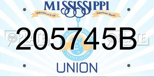 205745B Mississippi License Plate