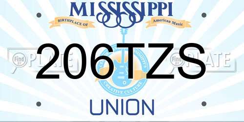 206TZS Mississippi License Plate
