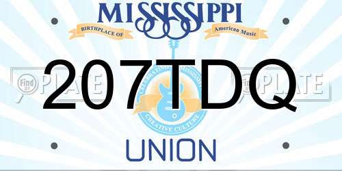 207TDQ Mississippi License Plate