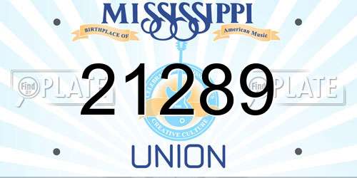 21289 Mississippi License Plate