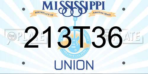 213T36 Mississippi License Plate