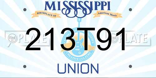 213T91 Mississippi License Plate