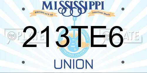 213TE6 Mississippi License Plate