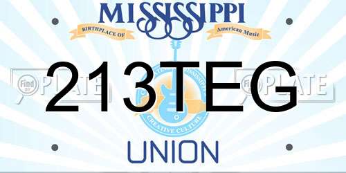 213TEG Mississippi License Plate