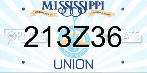 213Z36 Mississippi License Plate