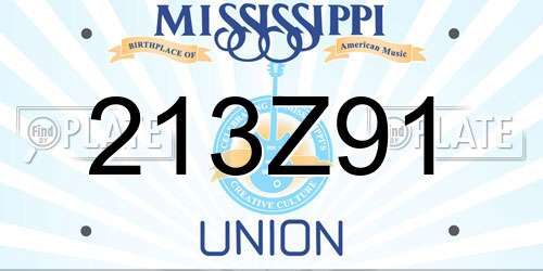 213Z91 Mississippi License Plate
