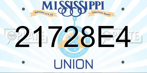21728E4 Mississippi License Plate