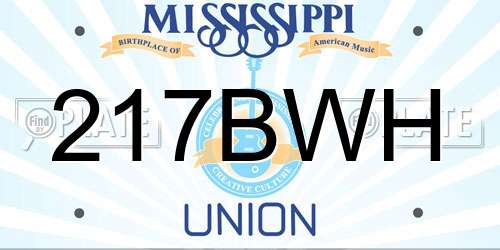 217BWH Mississippi License Plate